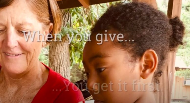 NWS- House in the Wood